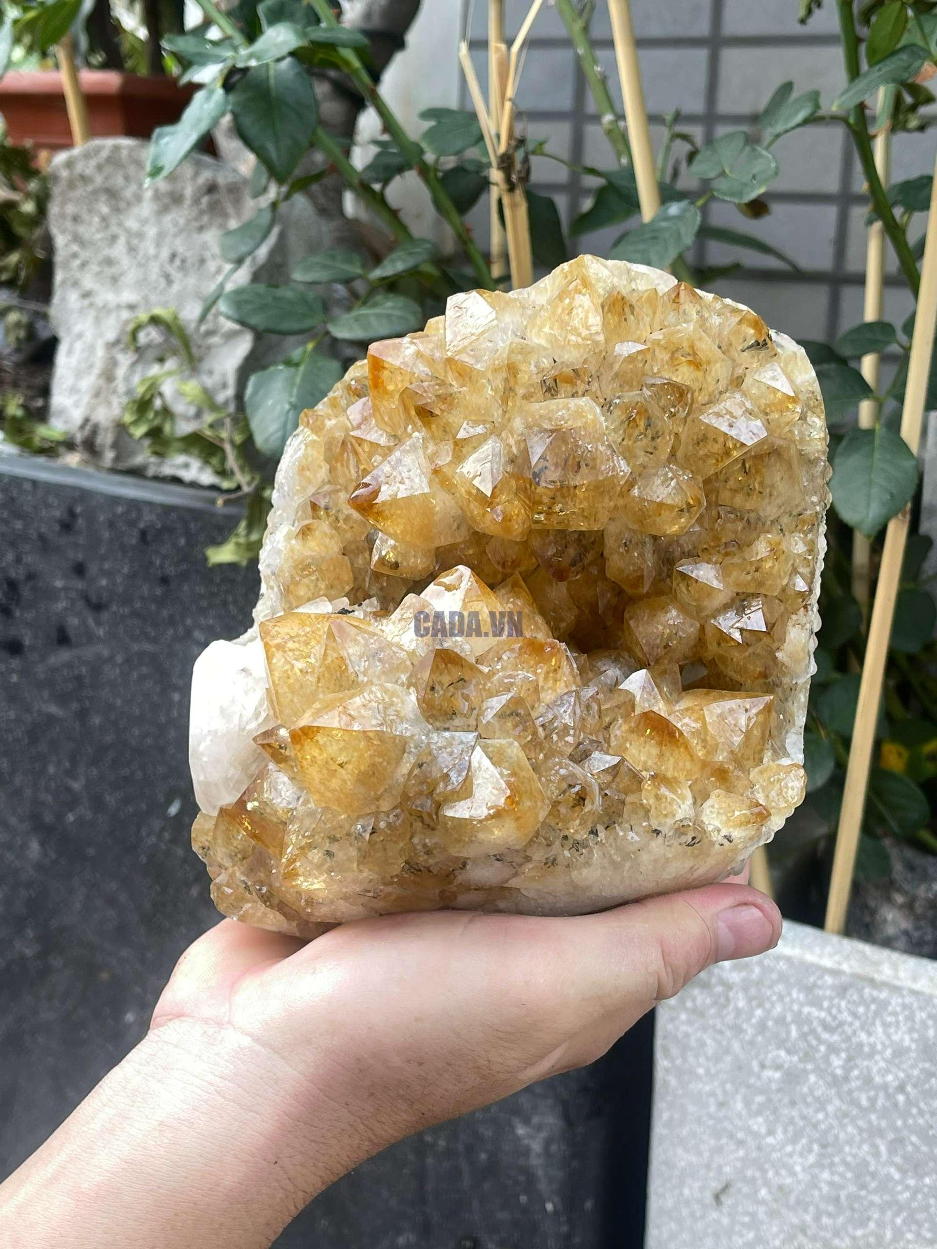 Tinh Thể Thạch Anh Vàng + Calxite (lớn) | CADA DECOR