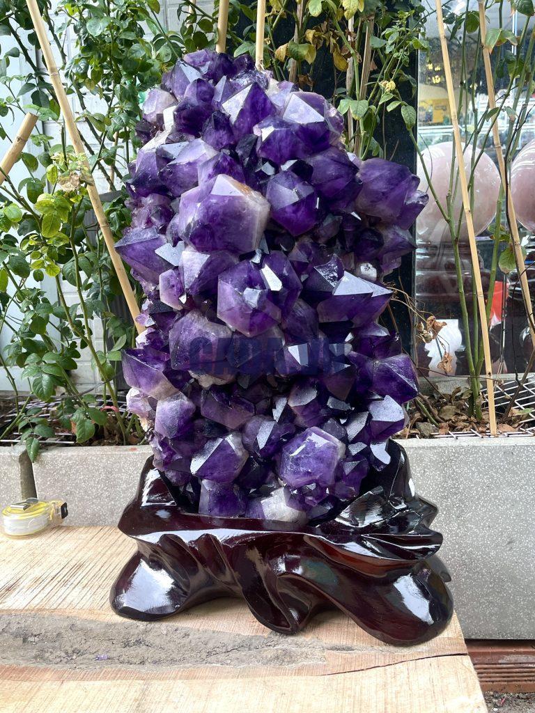 Vỉ mầm thạch anh tím