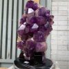 Vỉ mầm thạch anh tím CONGO 5kg