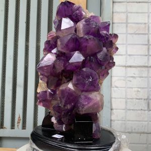 Vỉ mầm thạch anh tím CONGO 5kg
