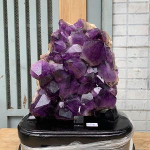 Vỉ mầm thạch anh tím CONGO 6kg 30x28cm