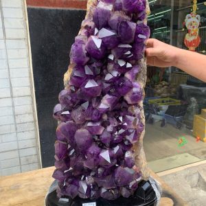 Vỉ mầm thạch anh tím CONGO 20,75kg