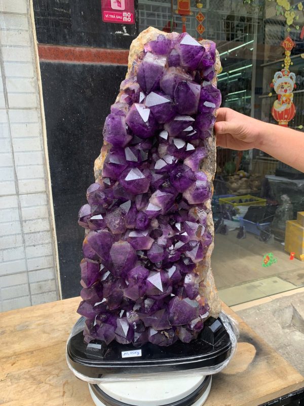 Vỉ mầm thạch anh tím CONGO 20,75kg