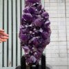 Vỉ mầm thạch anh tím CONGO 14,7Kg