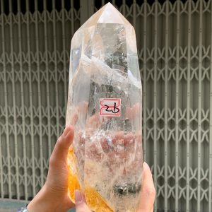 KT: 27x10cm KL: 3.39kg