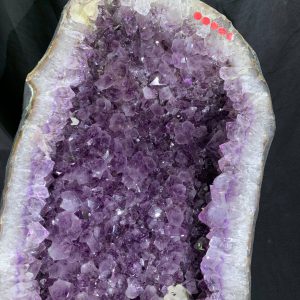 ốc Thạch Anh Tím - Amethyst Geode KT: 119x26cm - KL: 49.9kg