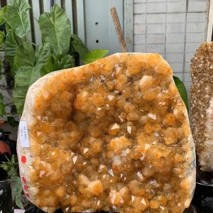 Vỉ tinh thể Thạch Anh Vàng nặng 10.2kg