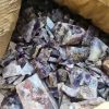 đá thô thạch anh tím rải nền